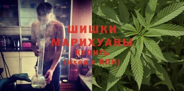 мяу мяу мука Бородино